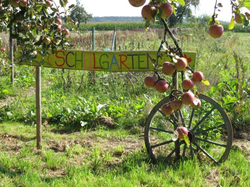 Schulgarten