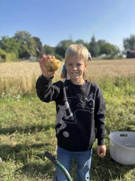 Kinder zeigen stolz ihre geernteten Kartoffeln